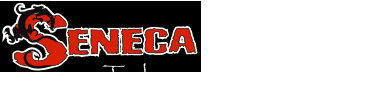 aekwondo & Martial Arts T