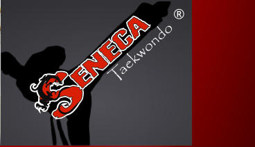 aekwondo T ®