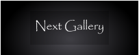 Next Gallery