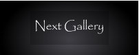 Next Gallery