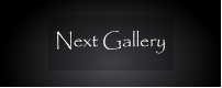 Next Gallery