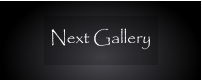 Next Gallery