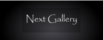 Next Gallery
